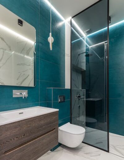 Shower glass fixed panel